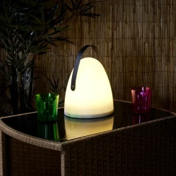 LAMPE EXTERIEURE AVEC POIGNEE 21X30CM