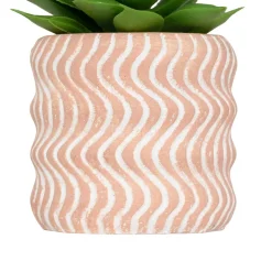 MINI PLANTE GRASSE POT CIMENT UBI H.7CM