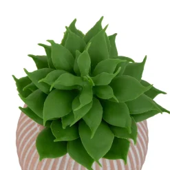 MINI PLANTE GRASSE POT CIMENT UBI H.7CM