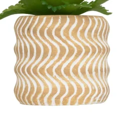 MINI PLANTE GRASSE POT CIMENT UBI H.7CM