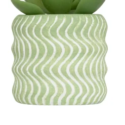 MINI PLANTE GRASSE POT CIMENT UBI H.7CM