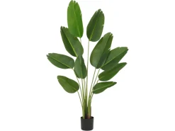 OISEAU DE PARADIS 10 FEUILLES H160CM