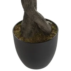 OLIVIER EN POT OLIFU H.140CM