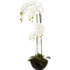 ORCHIDEE POT CERAMIQUE H.115CM