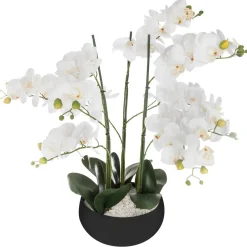 ORCHIDEE POT CERAMIQUE NOIR H.65CM