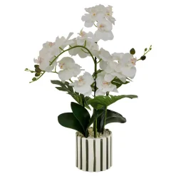 ORCHIDEE POT CERAMIQUE RAYE ASIA H.62CM