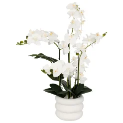 ORCHIDEE POT CIMENT MICK BLANC H.80CM