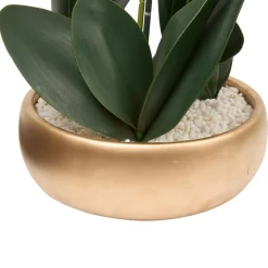 ORCHIDEE POT DORE SANAE H.65CM