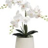 ORCHIDEES 3 BRANCHES EN POT H60CM BLANC
