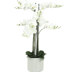 ORCHIDEES GEANTES X9 BRANCHES FLEURS TOUCHER NATUREL H.105CM