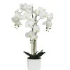 ORCHIDEE TOUCHER NATUREL 26 FLEURS POT PLASTIQUE H.100CM