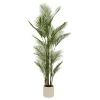 PALMIER POT BLANC MERLO H.180CM