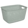 PANIER PLASTIQUE SAUGE TILA 17L