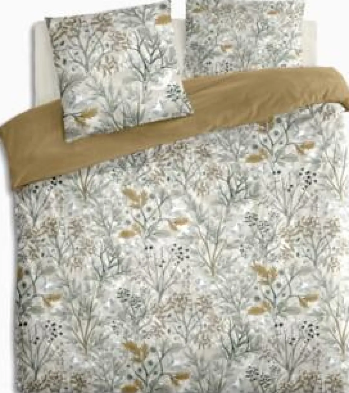 PARURE IMPRIME PALOMA 240X220CM