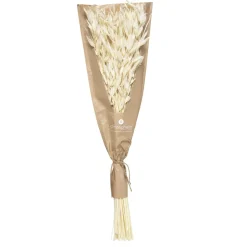PETIT BOUQUET FLEURS SECHEES NATUREL H.45CM