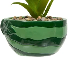 PLANTE FRUITY H.11CM