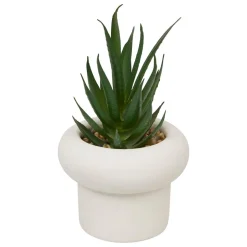 PLANTE GRASSE CIMENT STEFI H.15CM