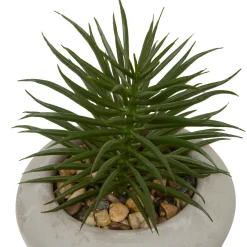 PLANTE GRASSE CIMENT STEFI H.15CM