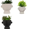 PLANTE GRASSE POT CIMENT DUSTY H.22CM