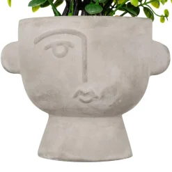 PLANTE GRASSE POT CIMENT DUSTY H.22CM