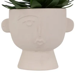 PLANTE GRASSE POT CIMENT DUSTY H.22CM