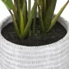 PLANTE LYS DE LA PAIX POT CIMENT H.54CM