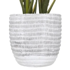 PLANTE LYS DE LA PAIX POT CIMENT H.54CM