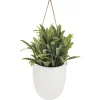 PLANTE MURALE A SUSPENDRE CERAMIQUE H.20CM
