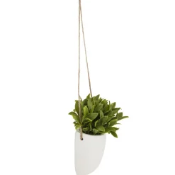 PLANTE MURALE A SUSPENDRE CERAMIQUE H.20CM