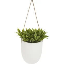 PLANTE MURALE A SUSPENDRE CERAMIQUE H.20CM