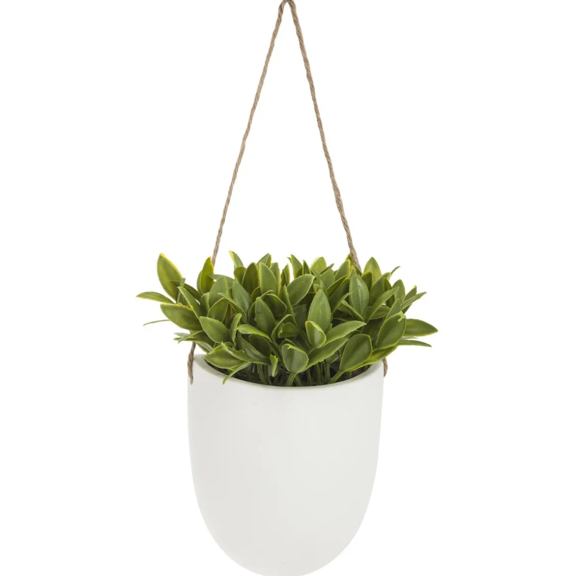 PLANTE MURALE A SUSPENDRE CERAMIQUE H.20CM
