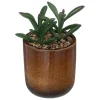 PLANTE POT CERAMIQUE REAC OCRE H.16CM
