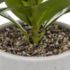 PLANTE POT CERAMIQUE REACTIVE H.30CM