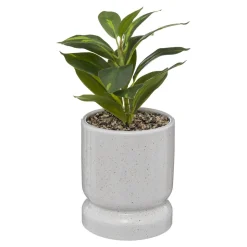 PLANTE POT CERAMIQUE REACTIVE H.30CM