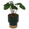 PLANTE POT CERAMIQUE VERT H.26CM
