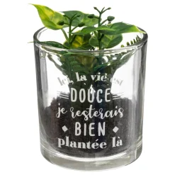 PLANTE POT MESSAGE D.7X8CM