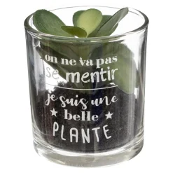 PLANTE POT MESSAGE D.7X8CM