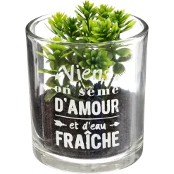 PLANTE POT MESSAGE D.7X8CM