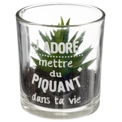 PLANTE POT MESSAGE D.7X8CM