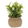 PLANTE POT NATUREL JIL H.20CM