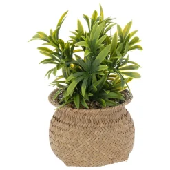 PLANTE POT NATUREL JIL H.20CM
