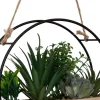 PLANTE POT SUSPENDU ROND BOIS KRIST D.20CM