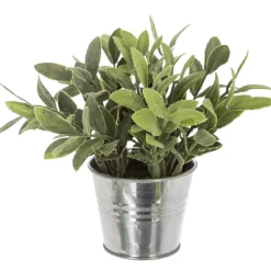 PLANTE POT ZINC D.8X17CM
