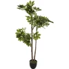 PLANTE SCHEFFLERA H.130CM