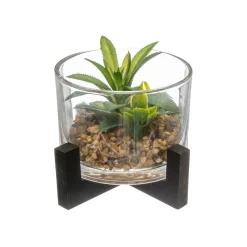 PLANTE VERRE BOIS D.13X12CM