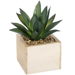 PLANTE VERTE BOIS CHIC H.14CM