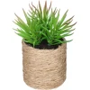 PLANTE VERTE CORDE ETHNIQUE H.16CM