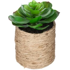 PLANTE VERTE CORDE ETHNIQUE H.16CM