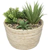 PLANTE VERTE POT NATUREL HOCI H.19CM
