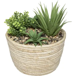 PLANTE VERTE POT NATUREL HOCI H.19CM